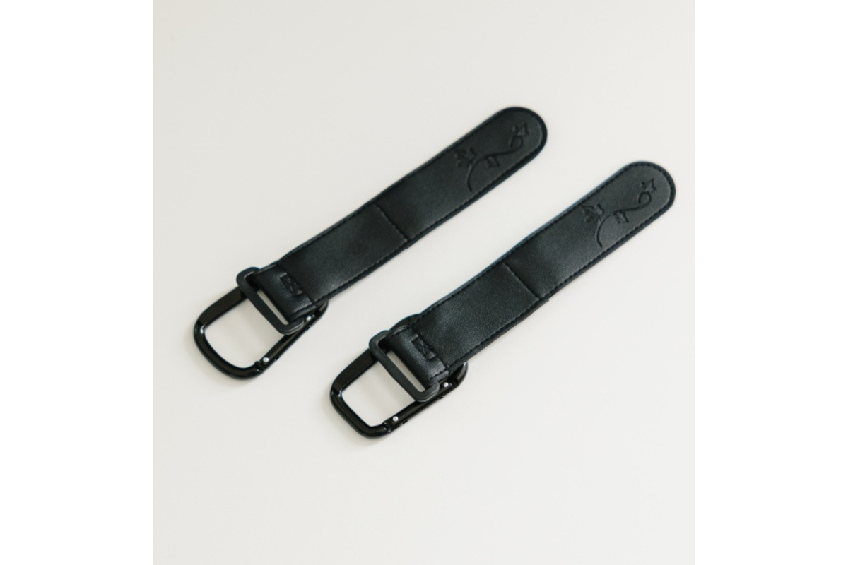 IvyGo™: The Everyday Companion