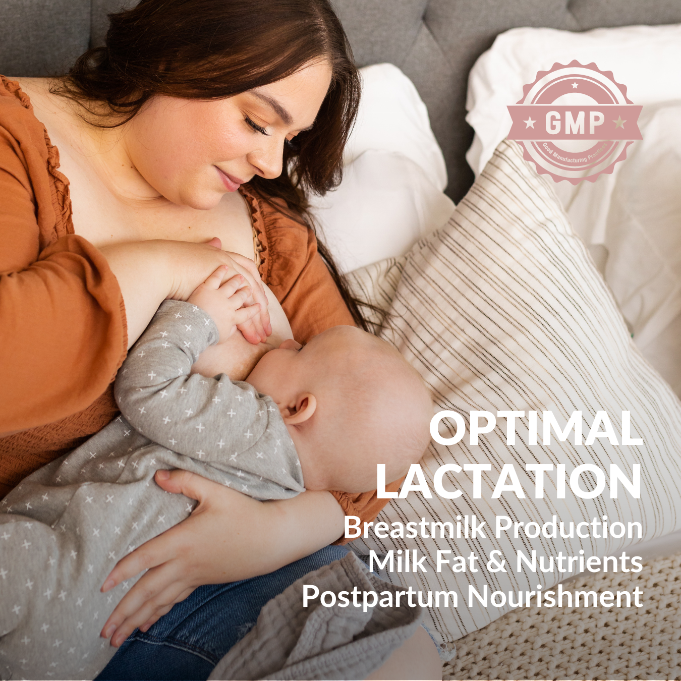 Advanced Lactation Formula